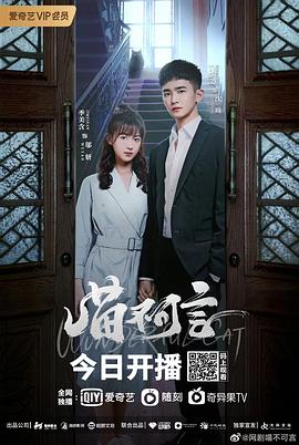 猫咪视频《喵不可言》免费在线观看