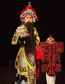 猫咪视频《袁崇焕2009》免费在线观看